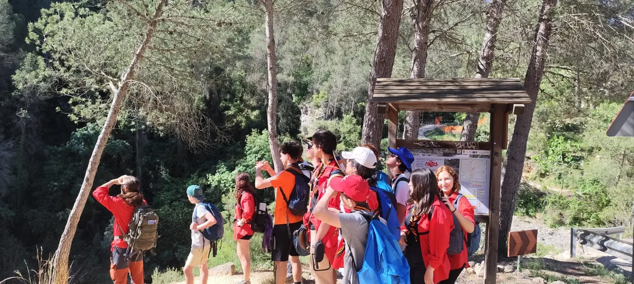 Pioners durant una eixida a la natura